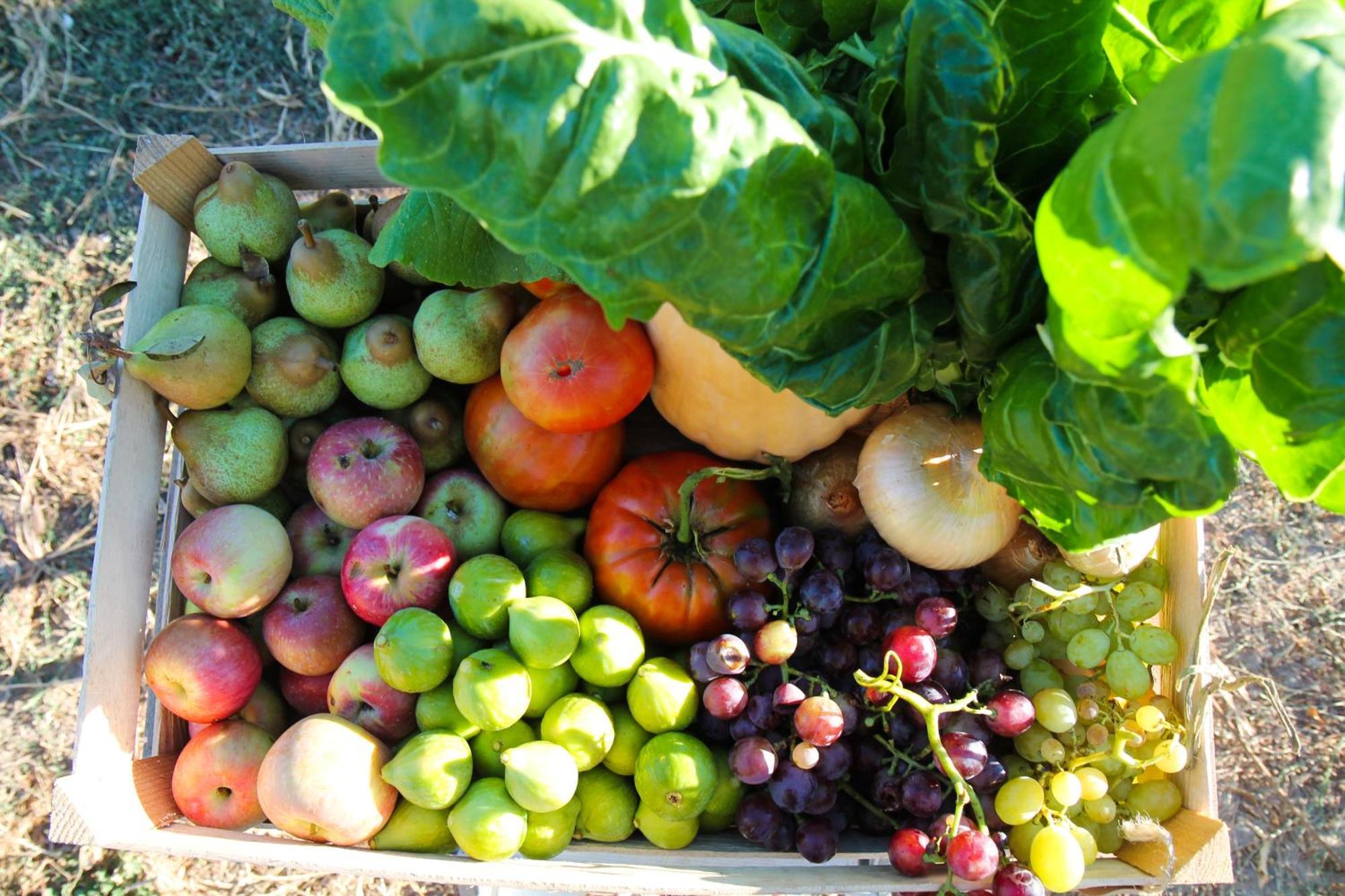 Chitaka'S Organic Farmhouse In Ribatejo Santo Estevao  外观 照片